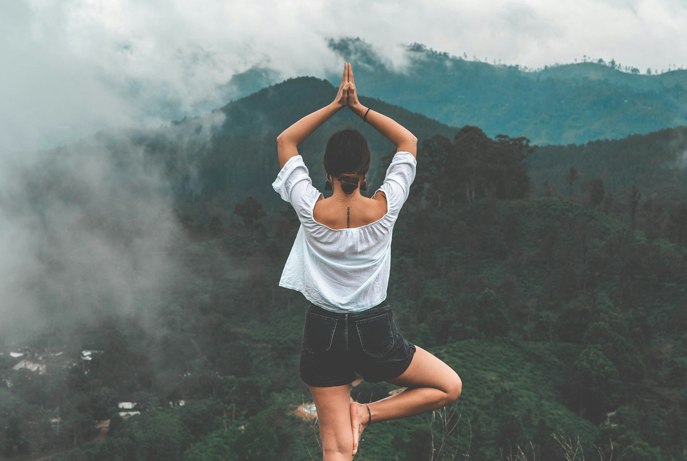 Illustration de l’article